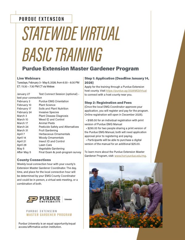 virtual training