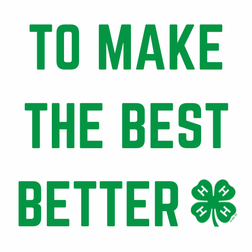 to-make-the-best-better.png