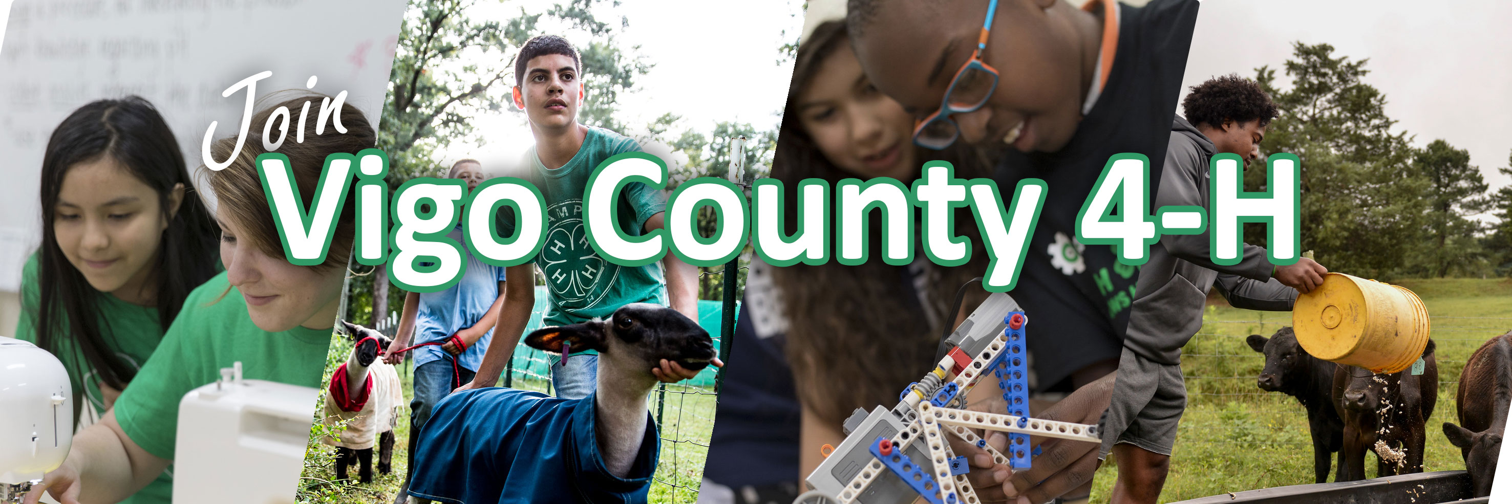 vigo 4-h newsletter