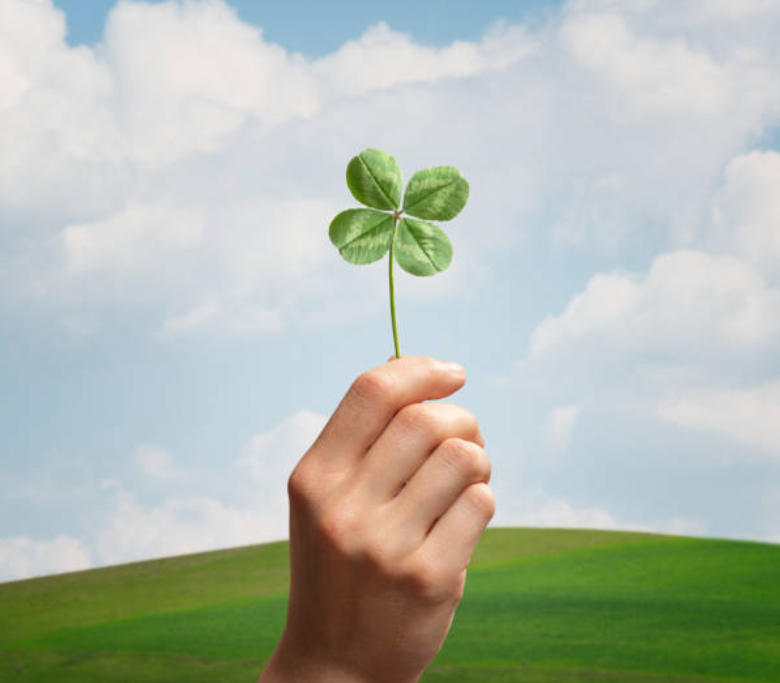 clover in hand