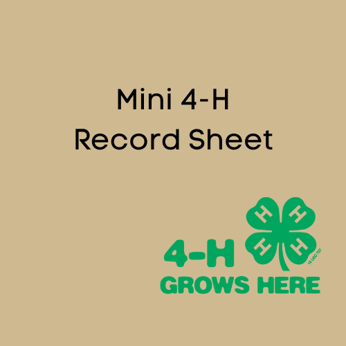 Mini Record Sheet