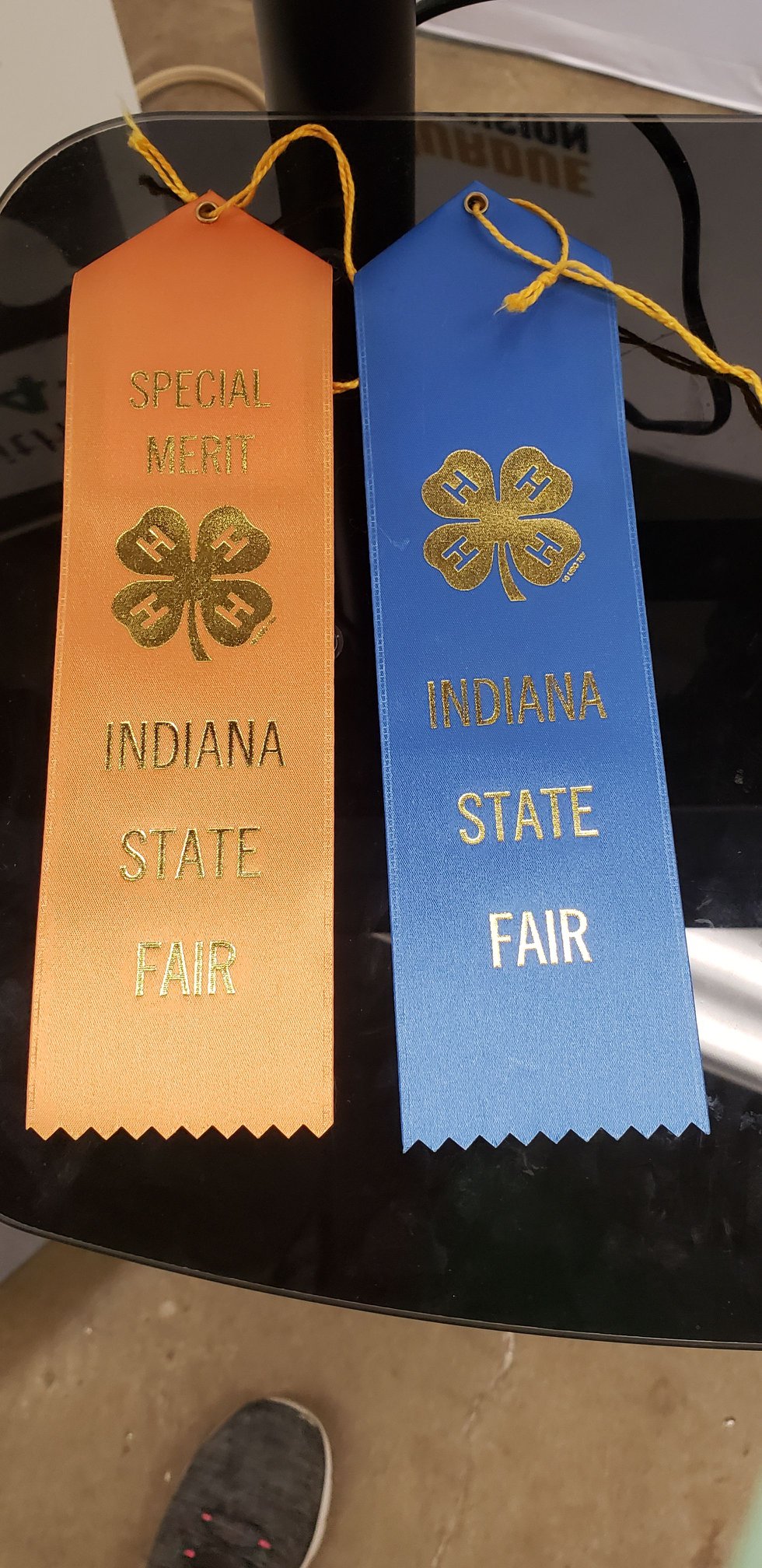 Over 40 State 4-H Projects