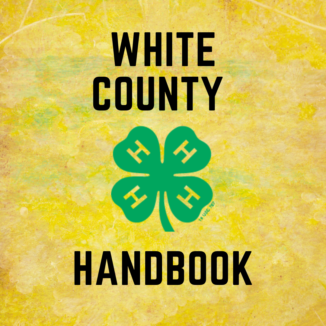 White County Handbook 2022