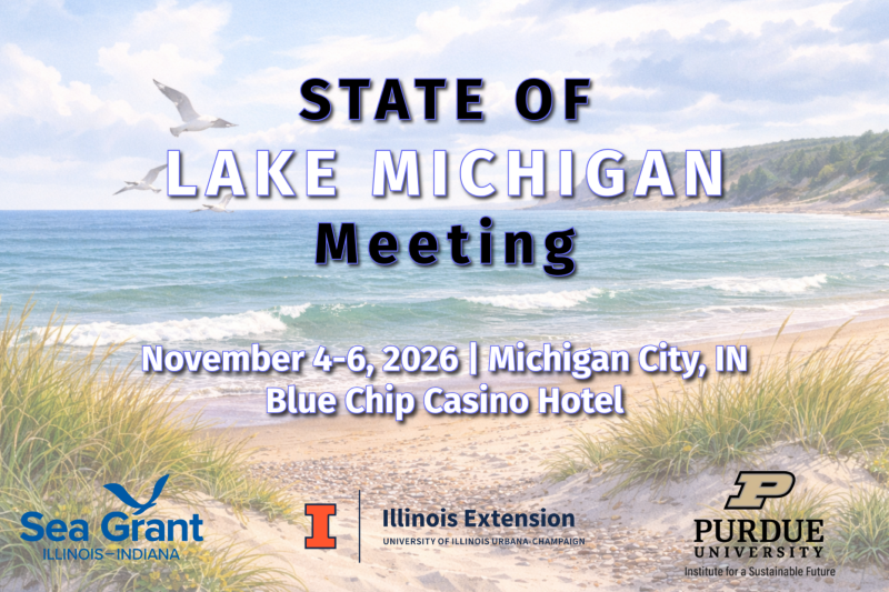 State of Lake Michigan Meeting Flyer