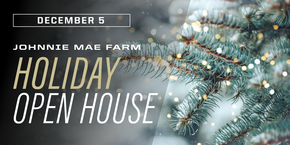 JMF Holiday Open House
