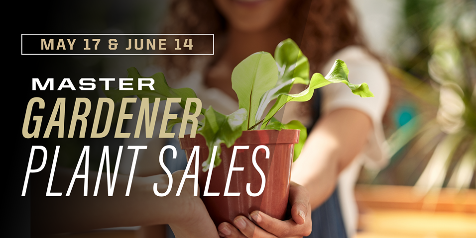 Master Gardener Plant Sales - 2025