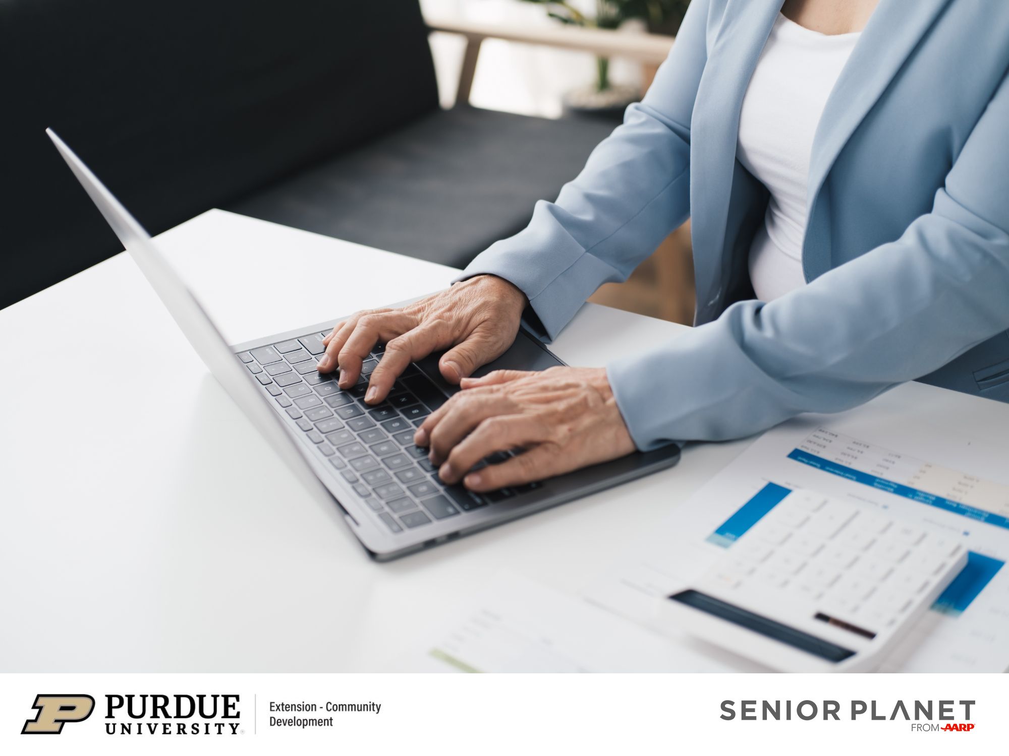 SP - Job Search