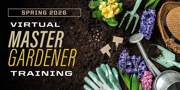 MG Training Spring 2026