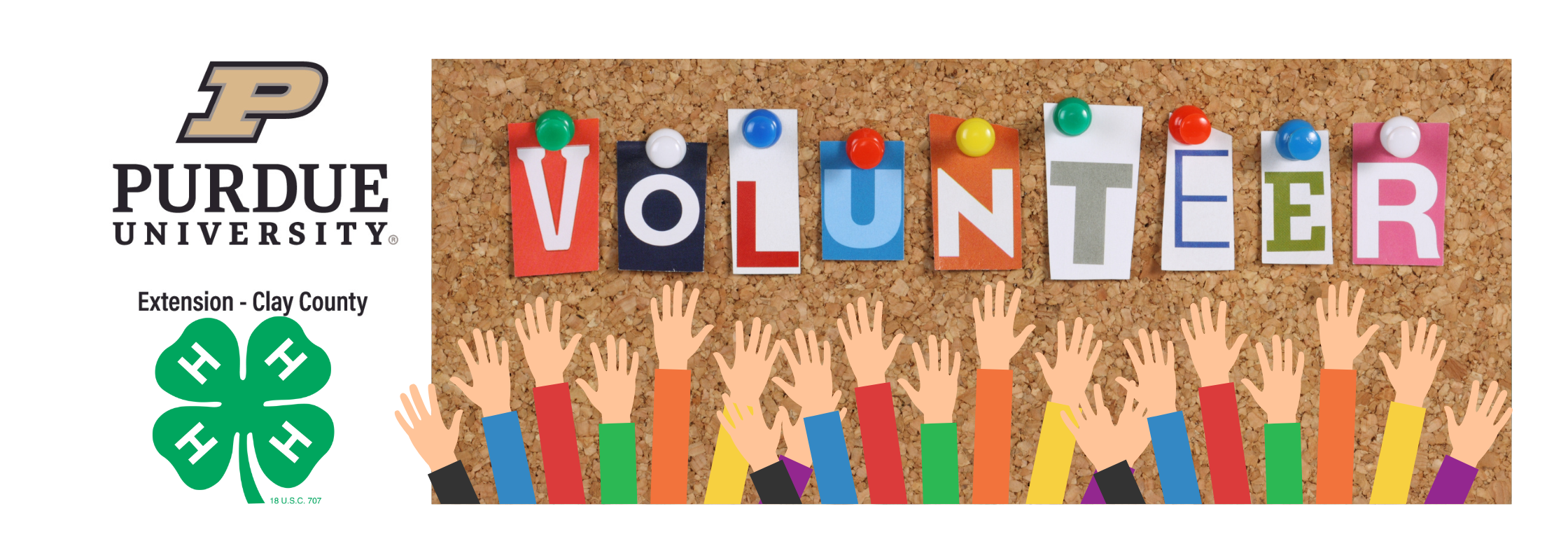 Volunteer