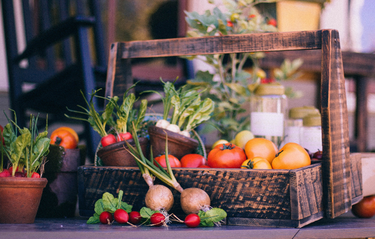 basket of vegetables