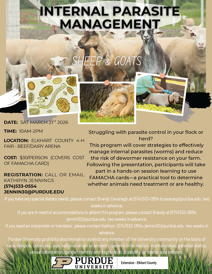 Image of Flyer