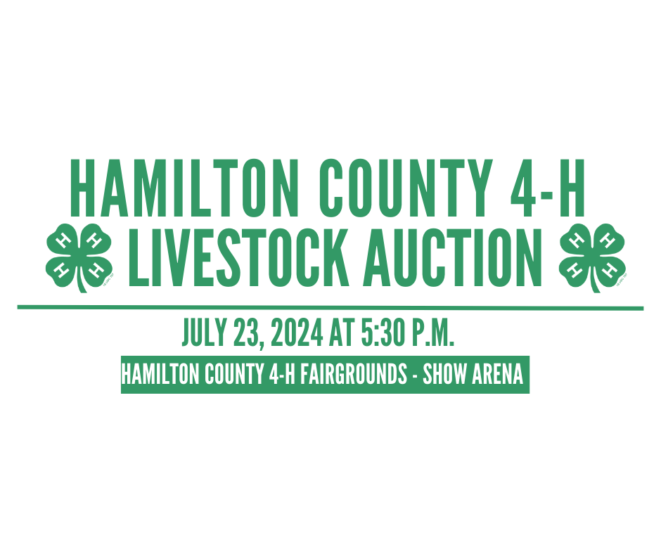 livestock auction
