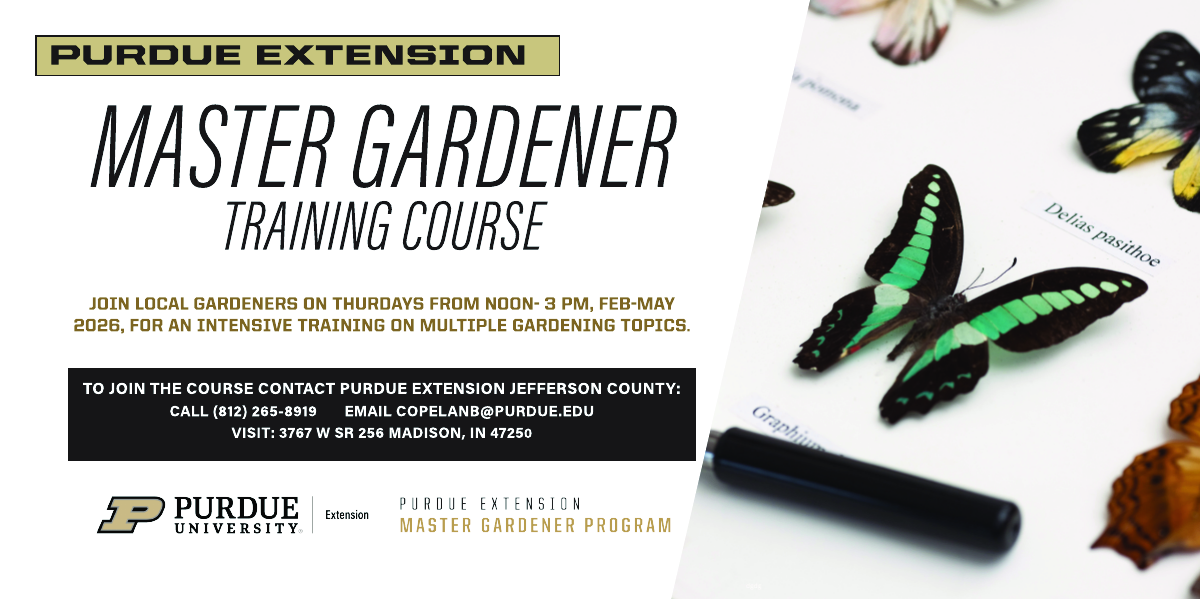 Flyer titled “Purdue Extension Master Gardener Basic Training.” Training details list: Thursdays Noon–3 PM, February–May; Join our 2026 cohort of local horticulture enthusiasts; Course runs weekly February 5–May 7; Includes in-depth textbook and expert presenters; 40-hour course and textbook cost $175 with discount for sharing; Accommodations available if requested by January 15, 2026. Images include close-up photos of tomatoes on the vine, butterfly specimens, and a magnifying glass. Bottom text notes: Classes held in Madison & surrounding horticulture venues, 3767 W SR 256 Madison, IN 47250. Contact copelanb@purdue.edu  or call (812) 265-8919 to apply. Logos of Purdue University Extension and Purdue Extension Master Gardener Program appear at the bottom.
