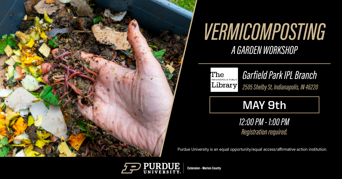 hand on a composting bin with worms, vermocomposting