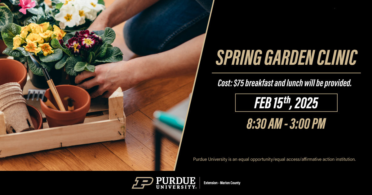 Spring garden works. Gardening tools and flowers on soil.
