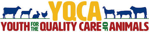 YQCA Banner Logo