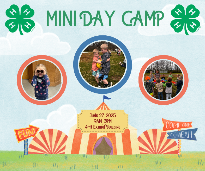 Mini Day Camp