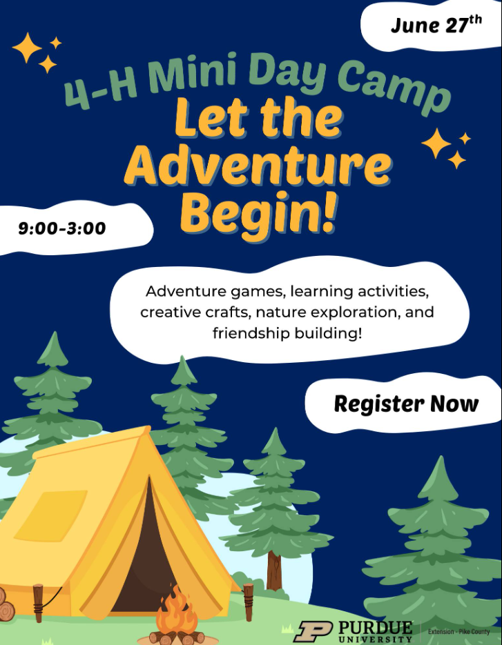 Mini Day Camp