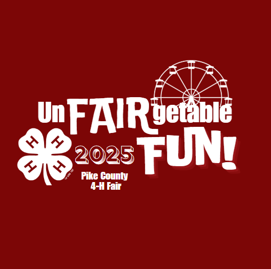 Fair Flyer