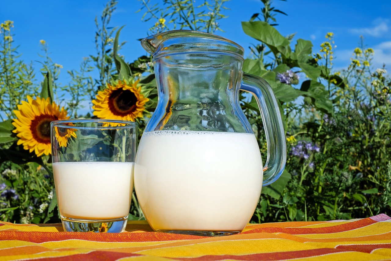 Pitcher of milk with sunflowers in background