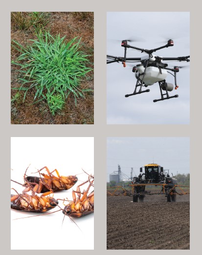 bugs, pesticide sprayers, grass, drone pesticide sprayer
