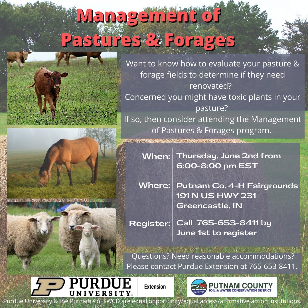 Flyer for Management of Pastures & Forages program with images of cattle, horses, and sheep grazing. 
