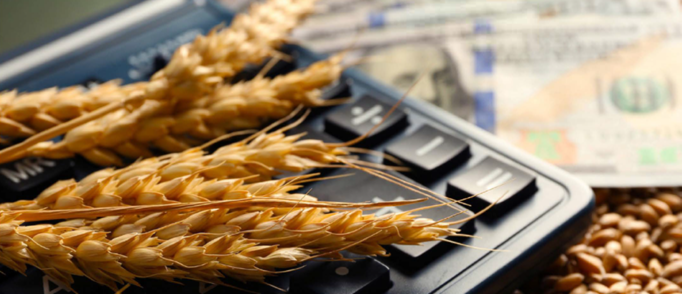 Stalks of wheat laying on top of a calculator