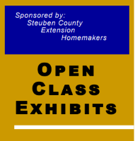 Open Class Exhibits