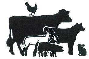 grouping of farm aminals