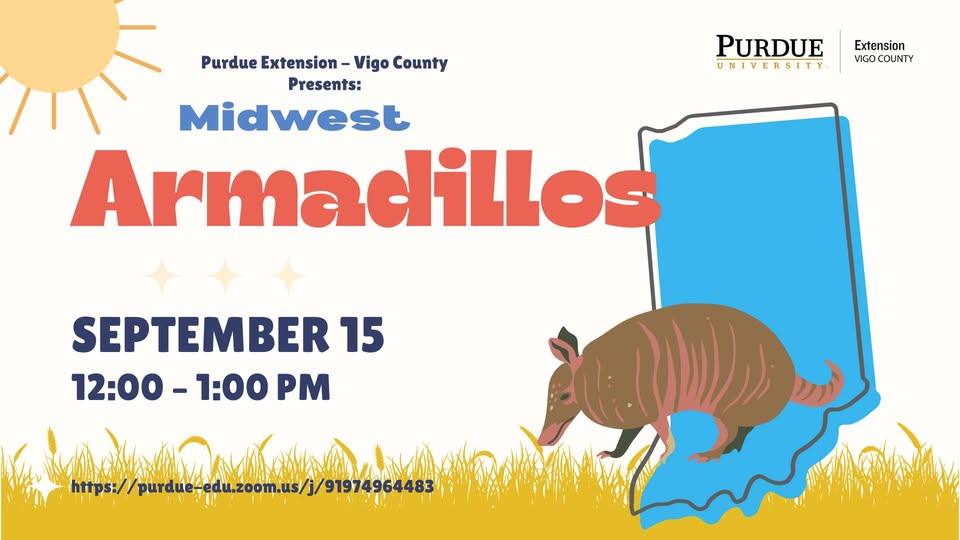 midwest armadillos