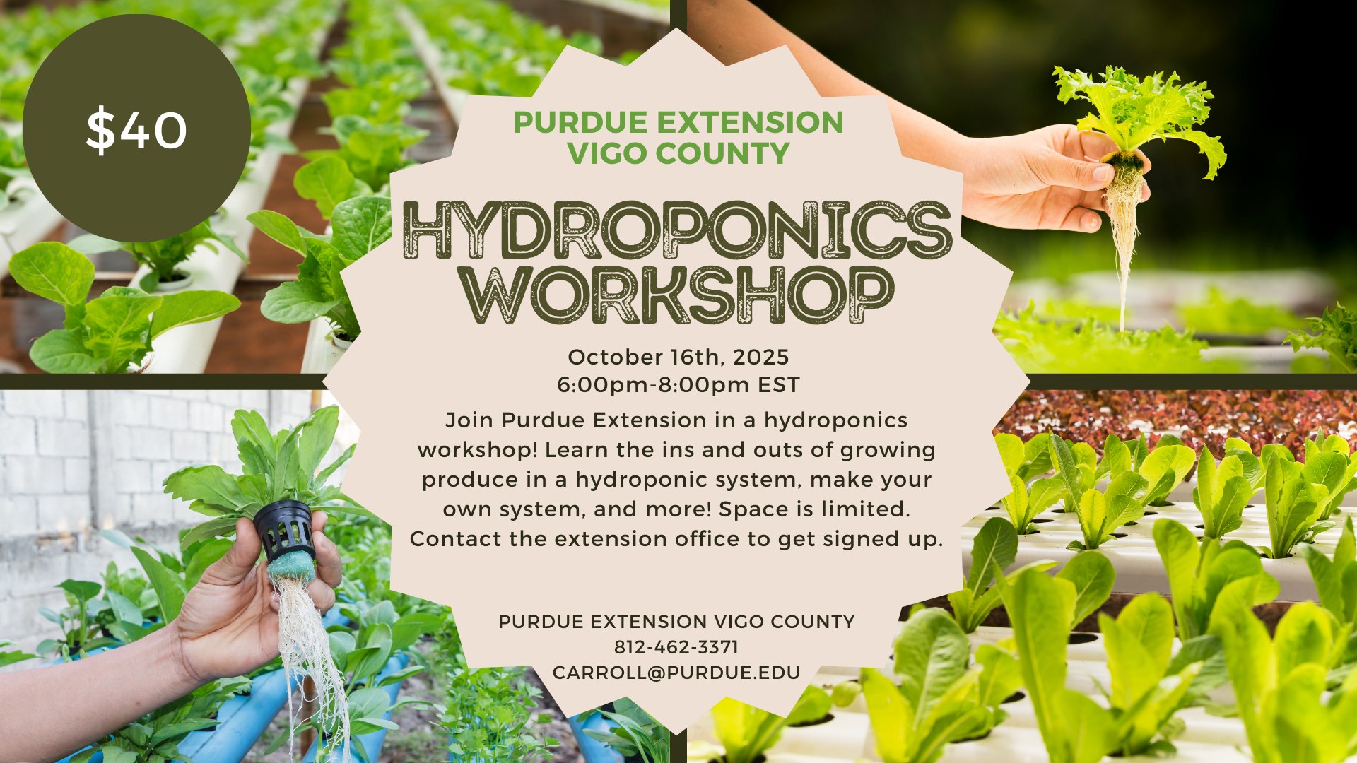 Hydroponics Workshop
