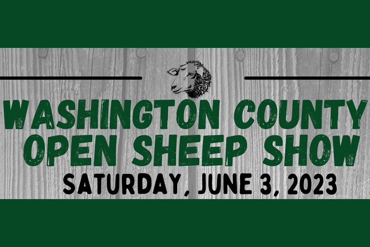 open sheep show