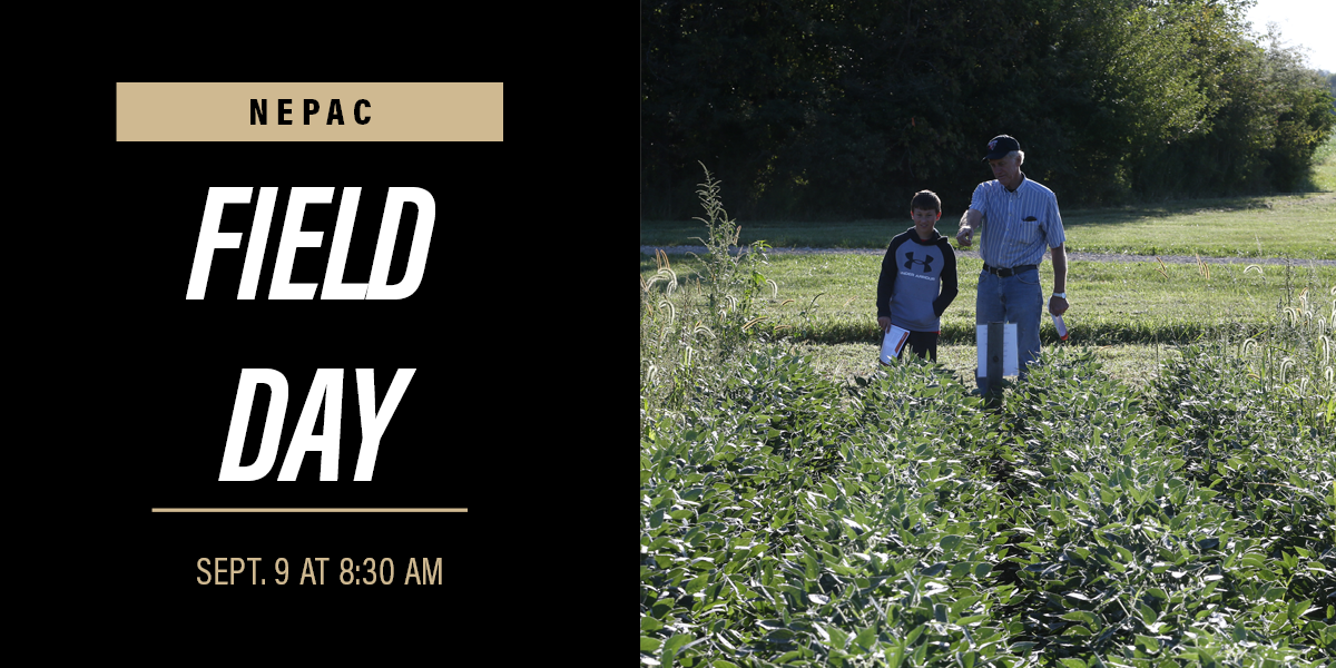NEPAC Field Day
