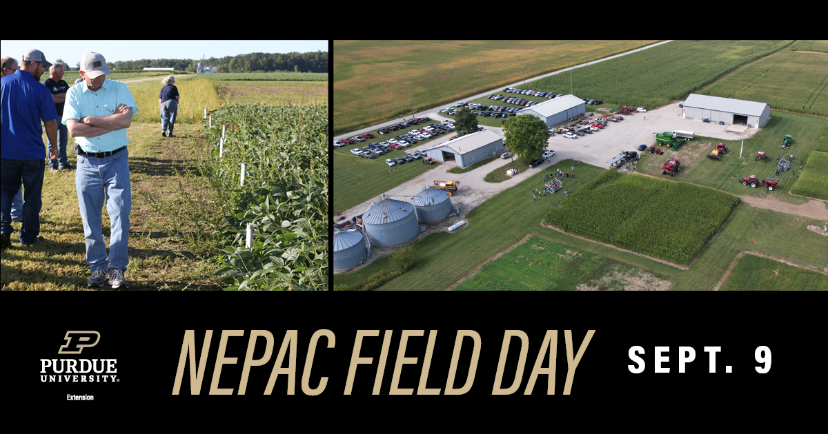 NEPAC Field Day