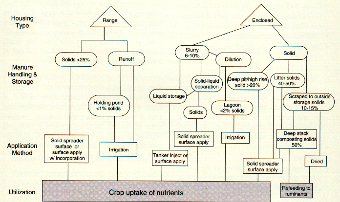 poultry farm management system