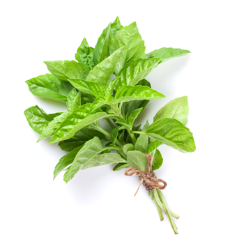 basil