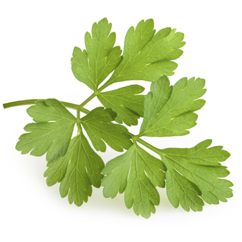 parsley