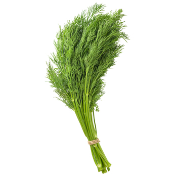 dill