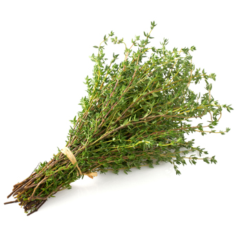 thyme