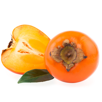 persimmon