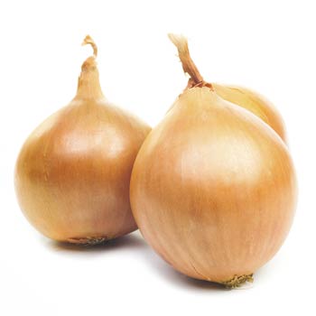 onion, green onion, scallion