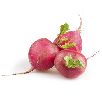 radish