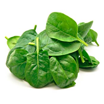 spinach - FoodLink - Purdue Extension