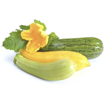 summer squash