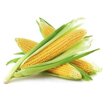 sweet corn