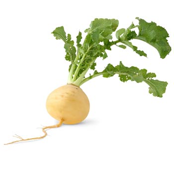 turnip and turnip greens