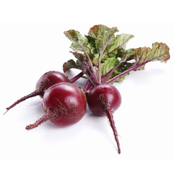 beet