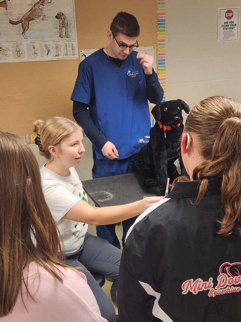 vet student participating in demonstration.