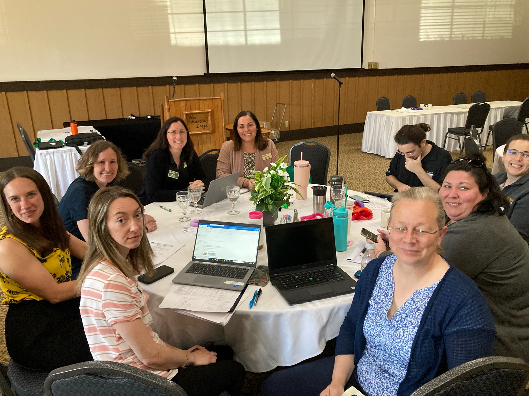 IEEA professional improvement committee in 2023