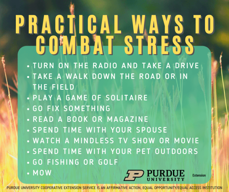 Practical-Ways-to-combat-stress-768x644-1.png